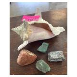 Shell and Stones
