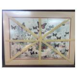 Framed Butterfly Identification Chart