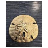 Gold-Tone Sand Dollar Brooch with Textured Detail