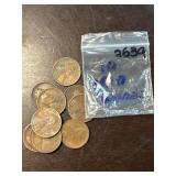 Coins with Storage Bag
