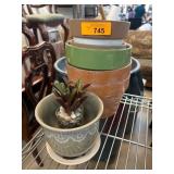 Four Flower Pots and Faux Succulent