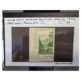1934 US National Parks Issue Stamp