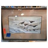 Framed Artwork of Shorebirds by J. Ziegler