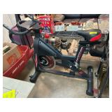 DMASUN Indoor Cycling Exercise Bike