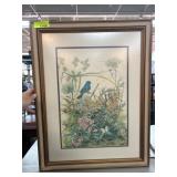 Indigo Bunting Limited Edition Print