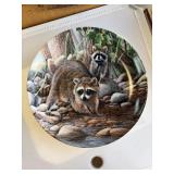 The Raccoon Collector Plate by Kevin Daniel