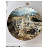Collector Plate 