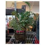 Decorative Metal Planter With Faux Plant
