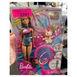 Barbie Dreamhouse Adventures Doll Set