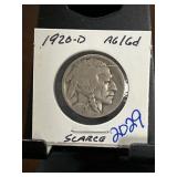 1920-D Buffalo Nickel in Holder