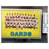 1967 Topps #173 St. Louis Cardinals Team Card