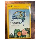 A Wrinkle in Time Paperback Book