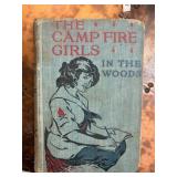 The Camp Fire Girls in the Woods, 1914