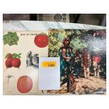 Two Classic Rock Vinyl Records: Cream and CCR