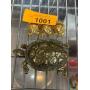Gold-Tone Frog Trinket and Turtle Box Pair