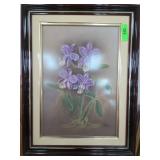 Pisline Signed Original Colored Pencil Orchid
