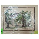 Watercolor by Ann Meclim Robertson