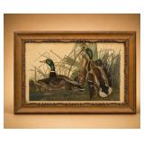Audubon Mallard Ducks Lithograph, 1874