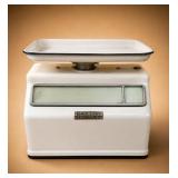 Dayton Hobart Electric Scale With Tray