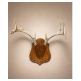 Ozark Woods Mounted Deer Antlers