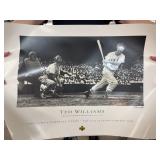 Ted Williams Poster, Framed Photo, Posters More