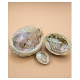Three Abalone Shells