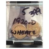1920-D Lincoln Wheat Cents, Lot of 5