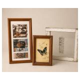 Three Framed Artworks / Antique Window / Baseball