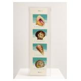 2017 US Seashells Postcard Stamp Strip (4)