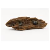 Piece of Wood with Retained Antique Bullets