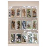 Vintage Sports and Cigarette Cards