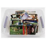 Mixed Travel Postcards in Clear Tote