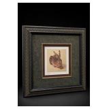 1502 Albrecht Dï¿½rer Hare Framed Print