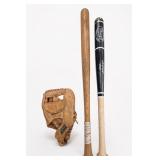 Rawlings Glove, Louisville & Ted Williams Bats