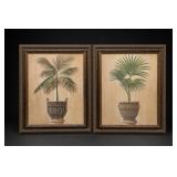 Framed Palm Botanical Prints