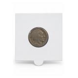 1916 Buffalo Nickel