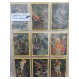 1930 Miami Parrot Jungle Souvenir Postcards
