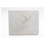 White Molded Plastic Folding Table