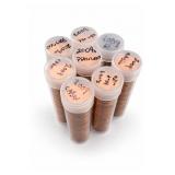 2009 Grouped Cent Rolls in Plastic Tubes
