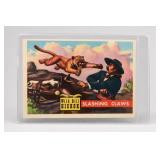 1956 Topps Round Up Slashing Claws Card