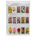 Flower Cigarette Cards