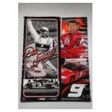 NASCAR No. 3 & No. 9 Racing Posters