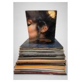 Vinyl Record Album Collection