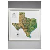 Hubbard Scientific Texas Map, Framed