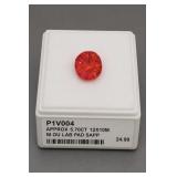 P1V004 Approx 5.70ct Lab Pad Sapp 12x10mm