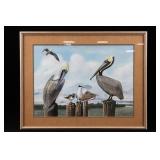 Ray Harm Signed Pelican Print No. 42 Framed