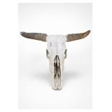 Buffalo Skull With Horn