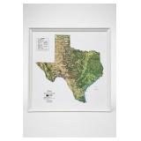 Hubbard Scientific Texas Natural Color Relief Map