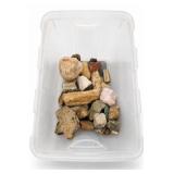 Assorted Rock & Mineral Lot