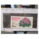 African Violet 20 x 29¢ Stamp Booklet, $5.80
